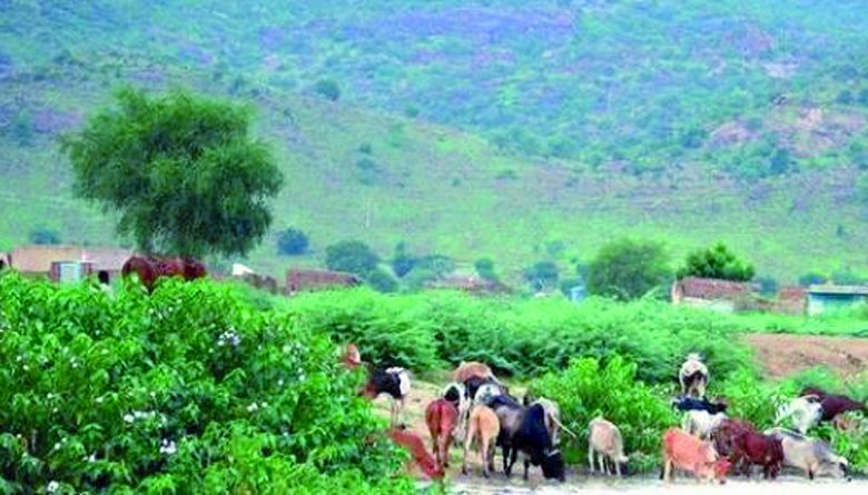 Photo of مدينة كادوقلي (جبال النوبة)