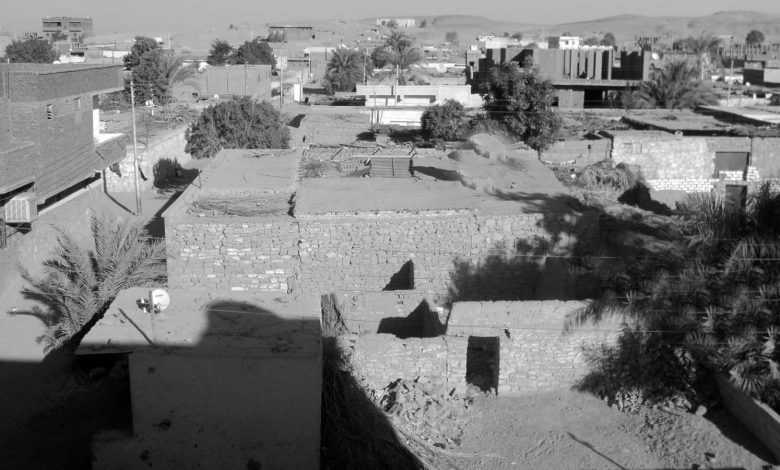 Photo of دلوكة الكسمبر … في مشروع الجزيرة عاضة شمبر
