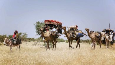 Photo of وقفات في ثقافتا المحلية