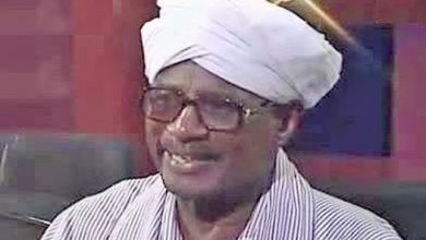 Photo of أبنوسة ونخلة
