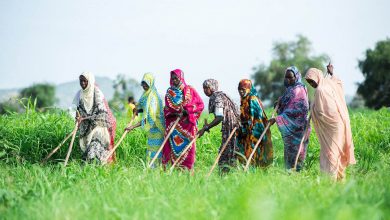 Photo of النفير وأحلام التنمية في السودان