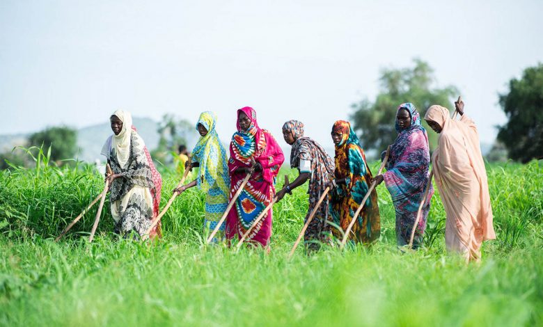 Photo of النفير وأحلام التنمية في السودان
