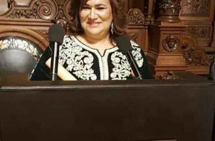 Photo of الفاعلة الجمعوية بالديار الألمانية دنيا القرشي :