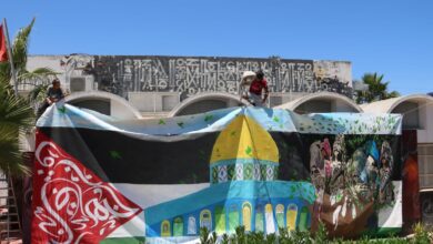 Photo of التشكيلية التونسية هيفاء تكوتي:فلسطين ليست مجرد مكان بل شعور مقيم في القلب