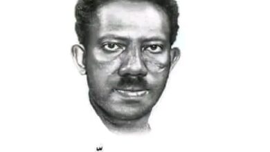 Photo of النحل والوضع في الشعر السوداني