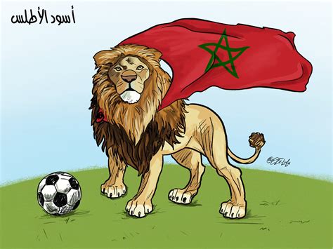 أسود الأطلس الأبطال .. يحيا المغرب بلدا وشعبا