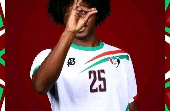 Photo of شادي وعامر… حين يتكلم الأداء ويصمت الضجيج